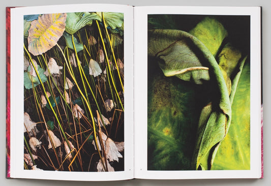 Metamorphosen Metamorphoses