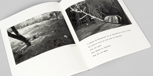 Park/Sleep