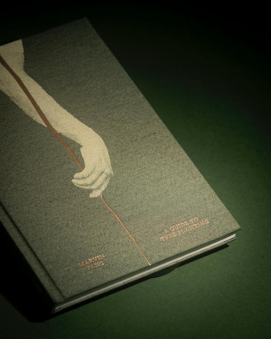 A Guide to Tree Planting