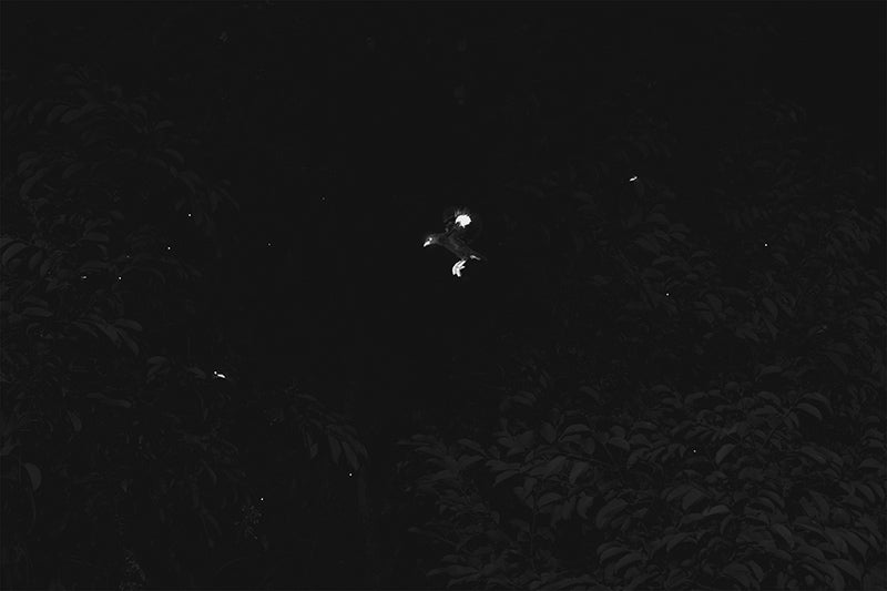 MYNAS