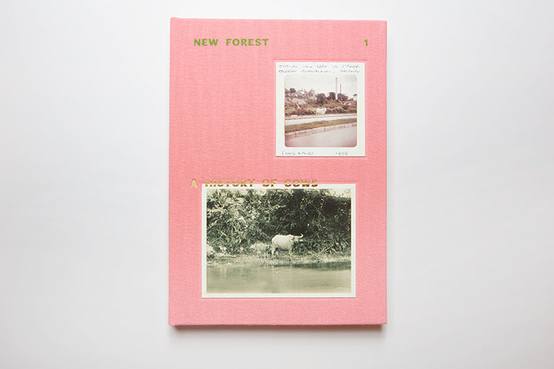 New Forest: A History of Cows