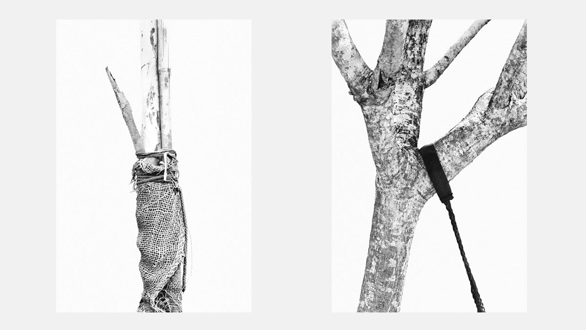 Ways to Tie Trees