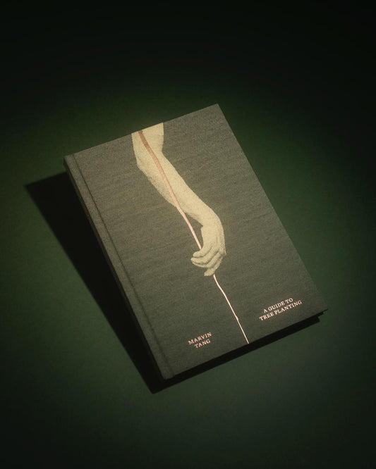 A Guide to Tree Planting