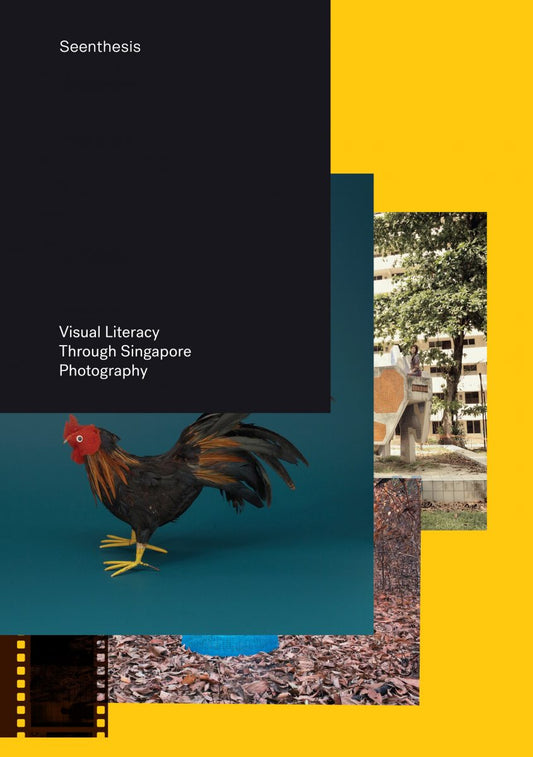 Seenthesis: Visual Literacy Through Singapore Photography